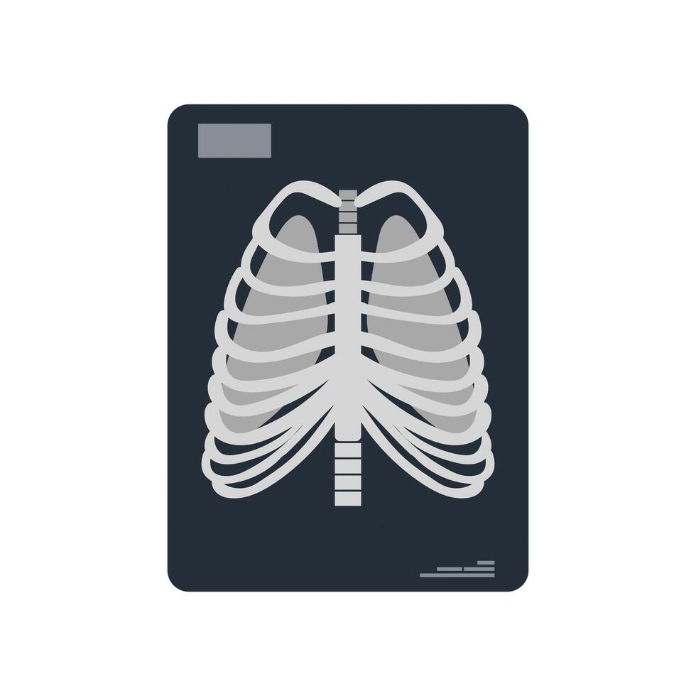 Ribs rib cage rib cage rib cage rib cage rib cage rib cage rib cage rib cage rib vector