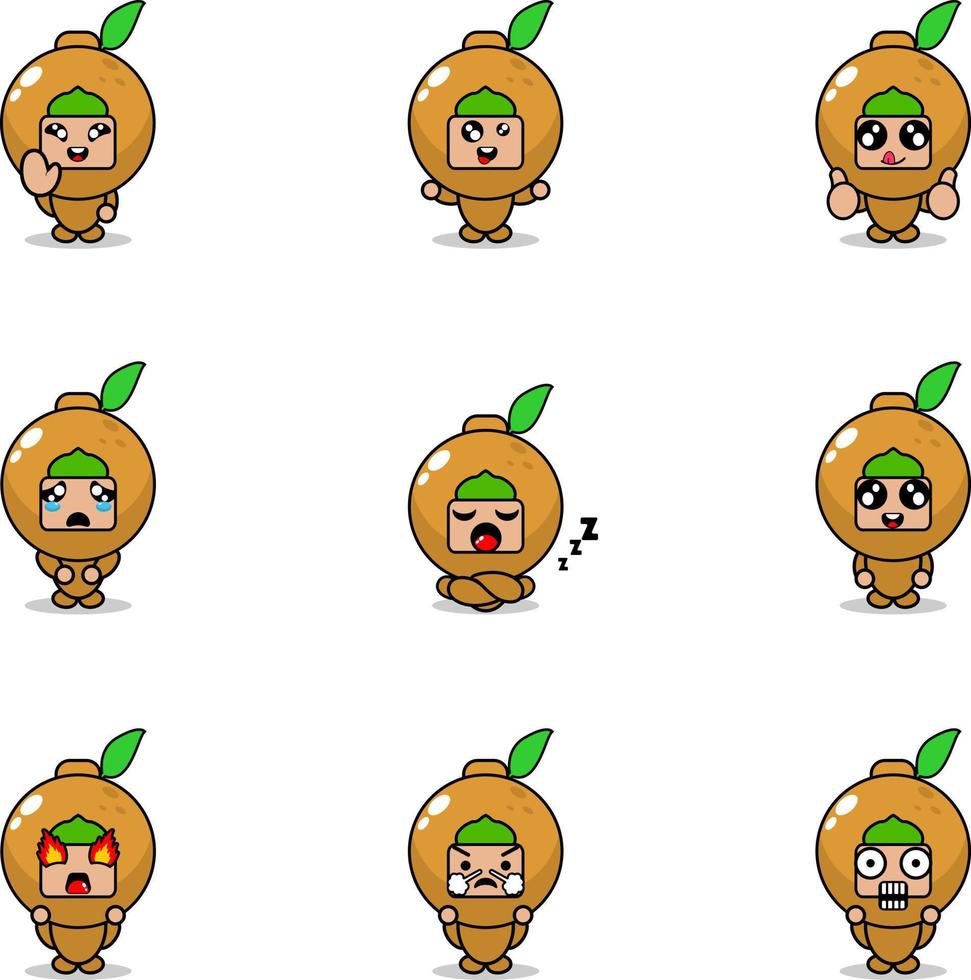 vector illustration of cartoon character mascot costume set of longan fruit expression bundle