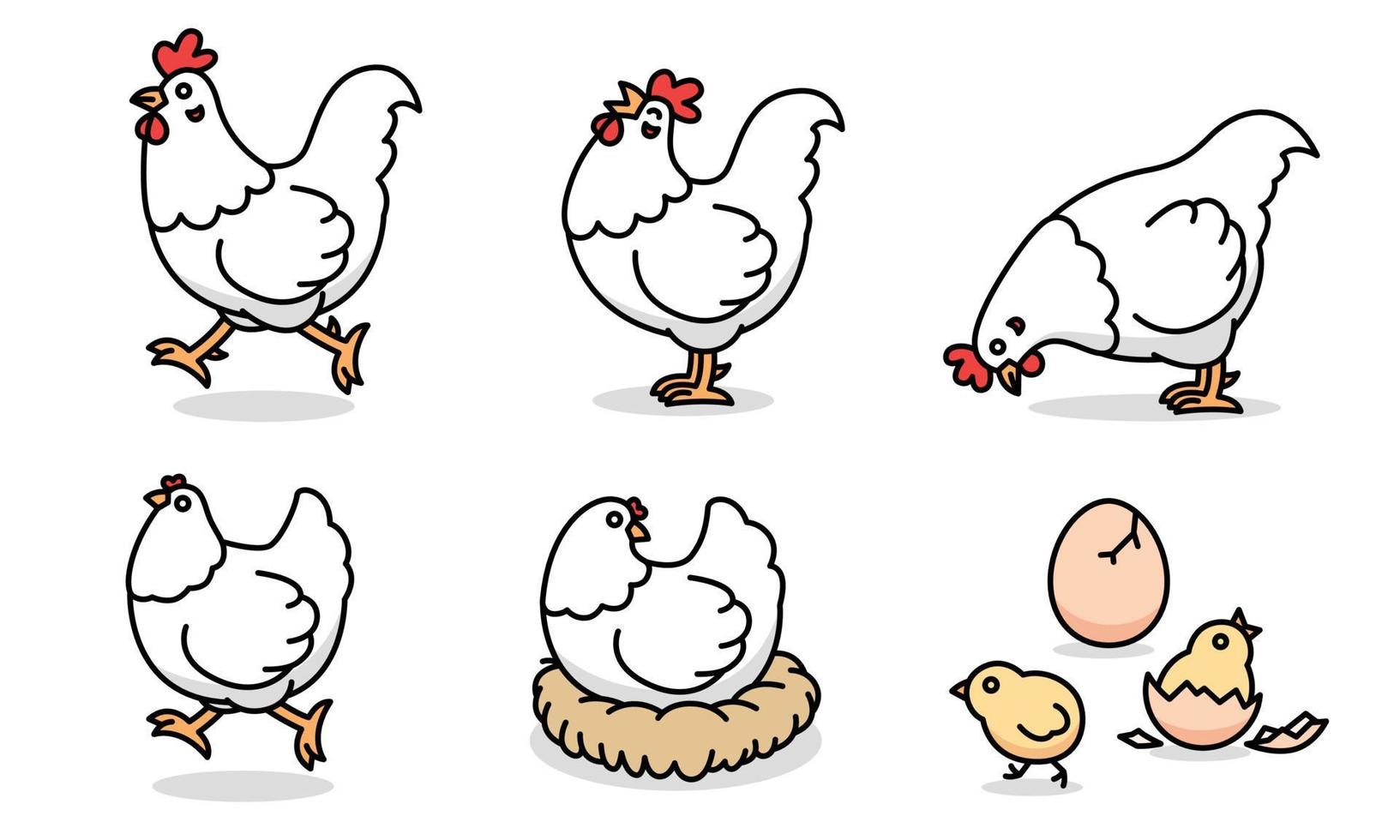 Cartoon drawing of white chicken family, vector