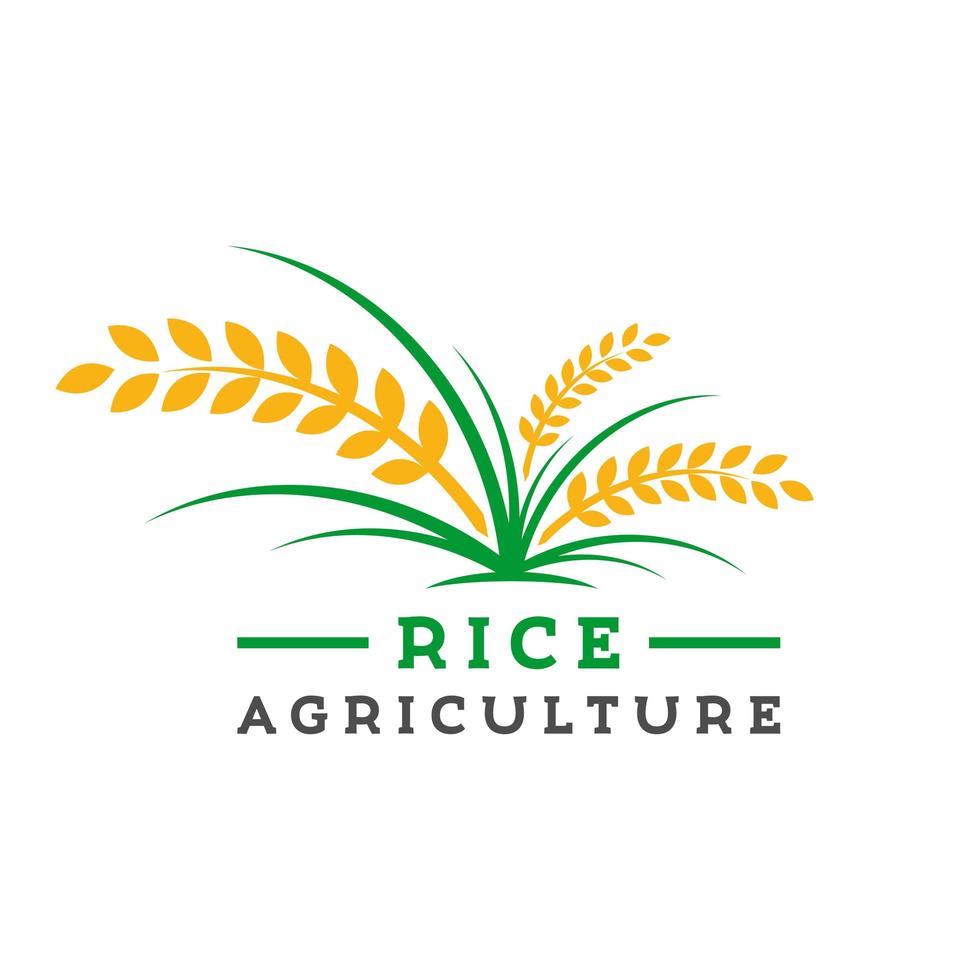 diseño de logotipo de cultivo de arroz vector