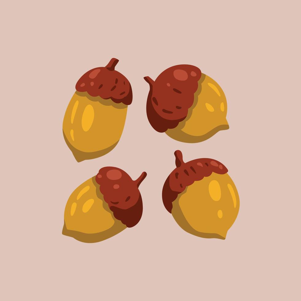 hand drawn cute autumn nut. flat illustration vector