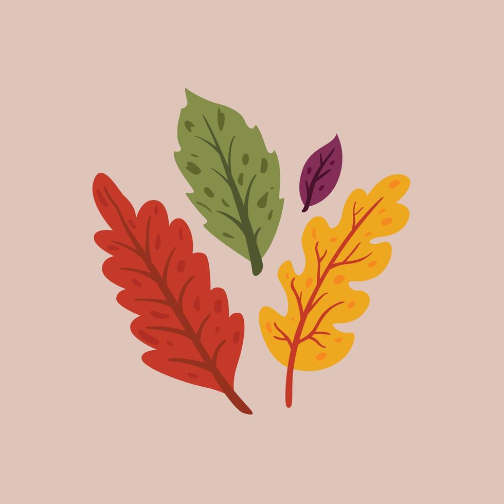 hand drawn cute leaves. flat illustration vector