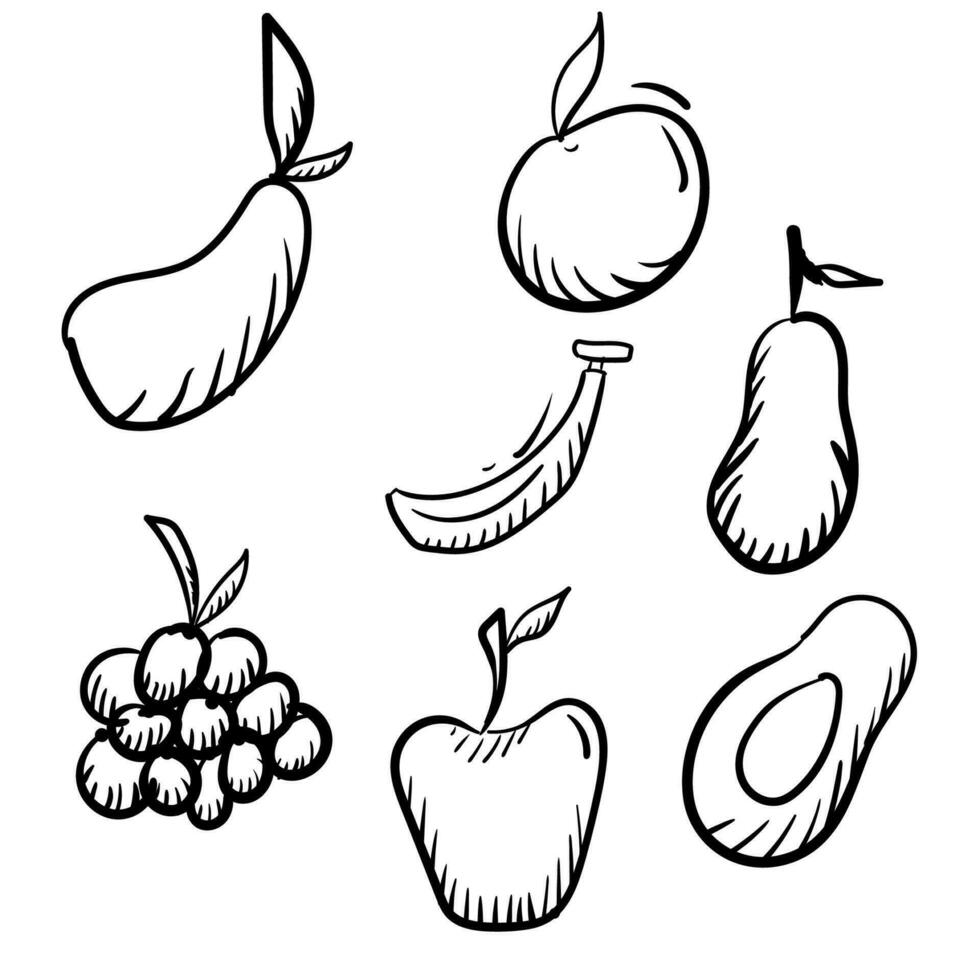 set of hand drawn fruits doodles on white background vector