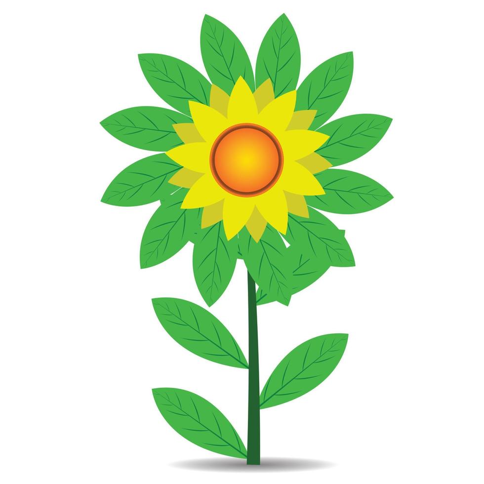 sunflower with leaves vector