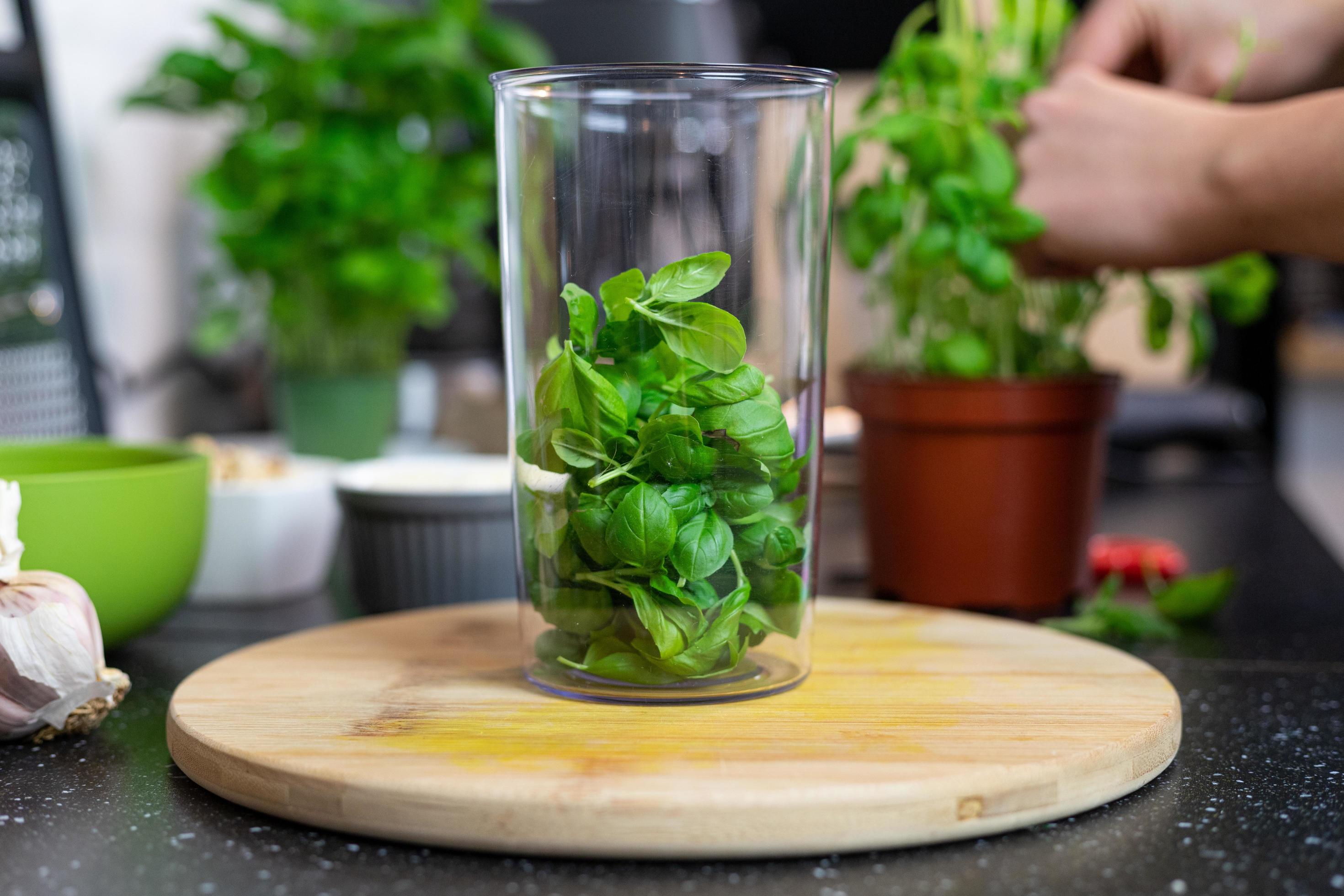 Basil leaves thrown into a blender. Prepare basil pesto. 5020950 Stock