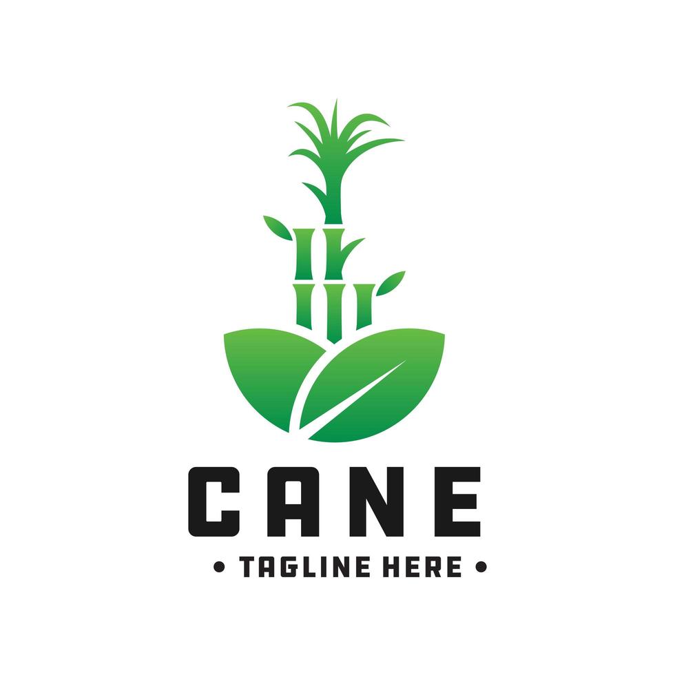 bamboo and cane green logo vector