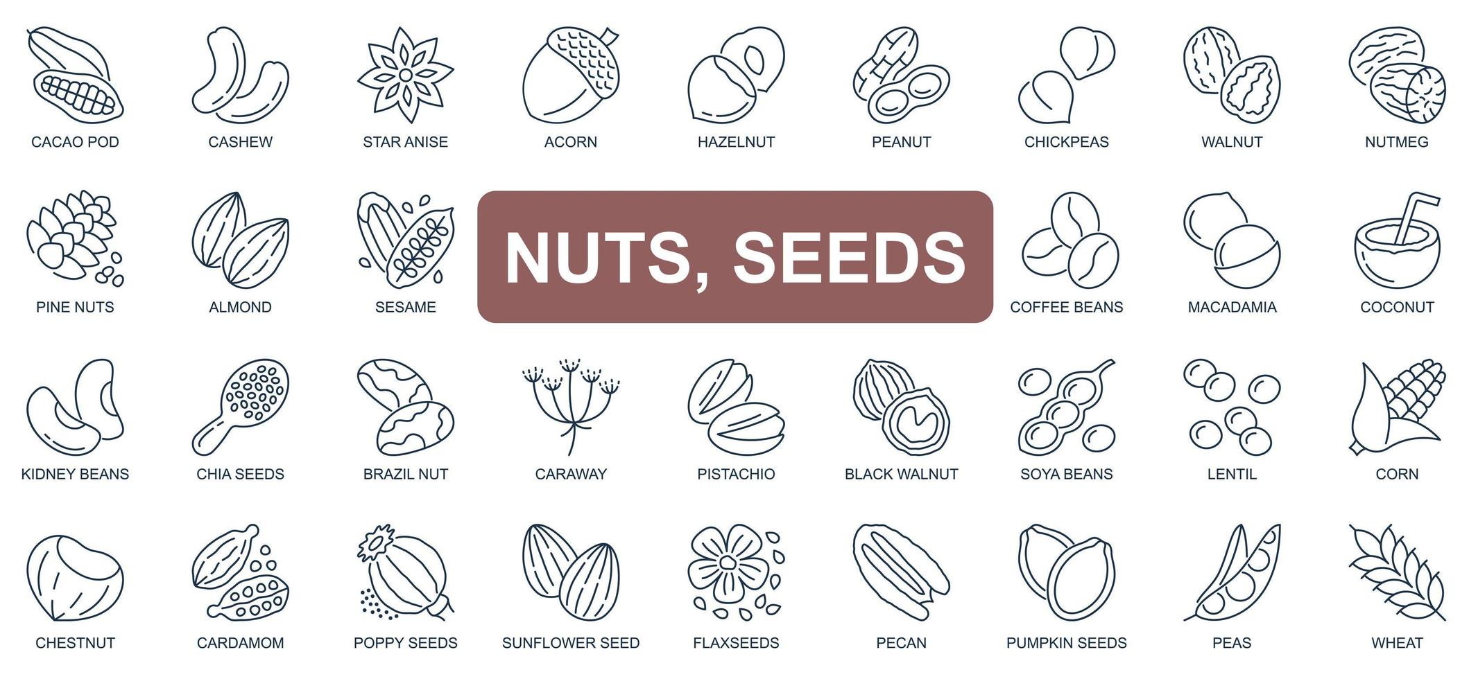 Nuts and seeds concept simple line icons set. Pack outline pictograms of cacao pod, cashew, walnut, acorn, hazelnut, peanut, coffee beans and other. Vector symbols for website and mobile app design