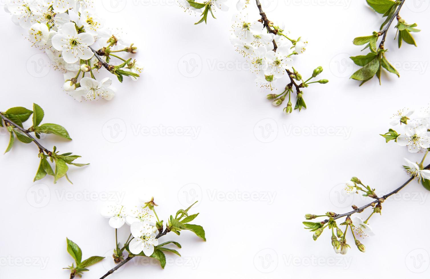 Fondo de borde de primavera con hermosas ramas de flores blancas. 5022538  Foto de stock en Vecteezy