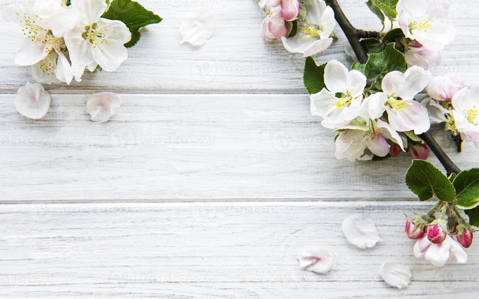 Fondo de borde de primavera con hermosas ramas de flores blancas. 5022555  Foto de stock en Vecteezy