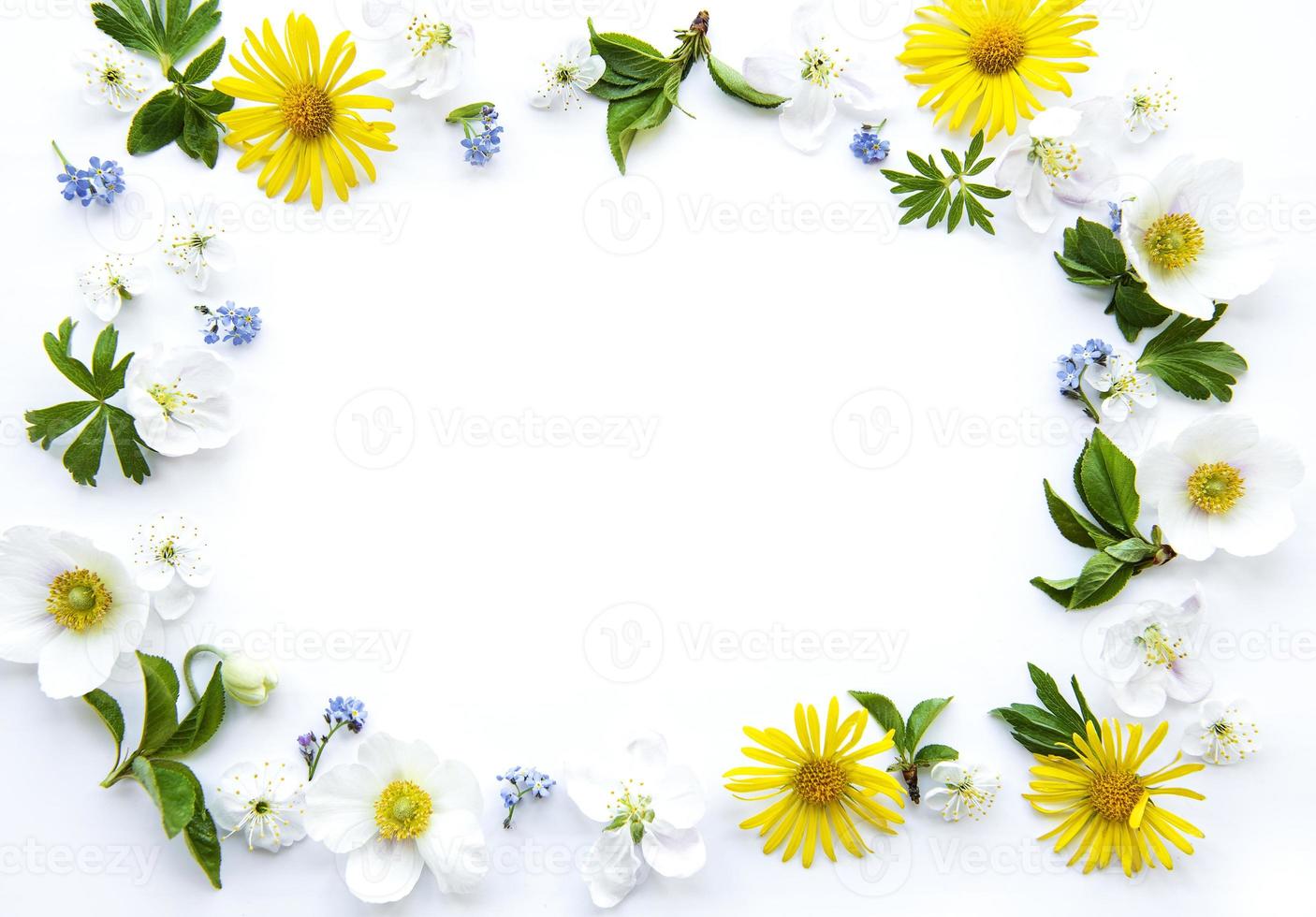 Flat lay frame with spring flowers, leaves and petals photo