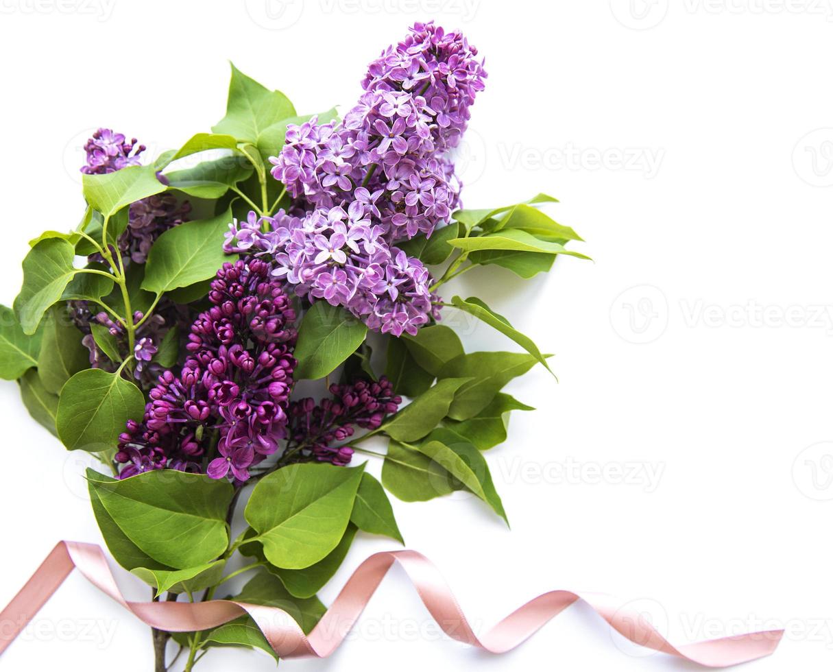 Lilac in flat style on white background. Beautiful spring. Overhead view. Flat lay, top. Summer season. Natural spring style. photo