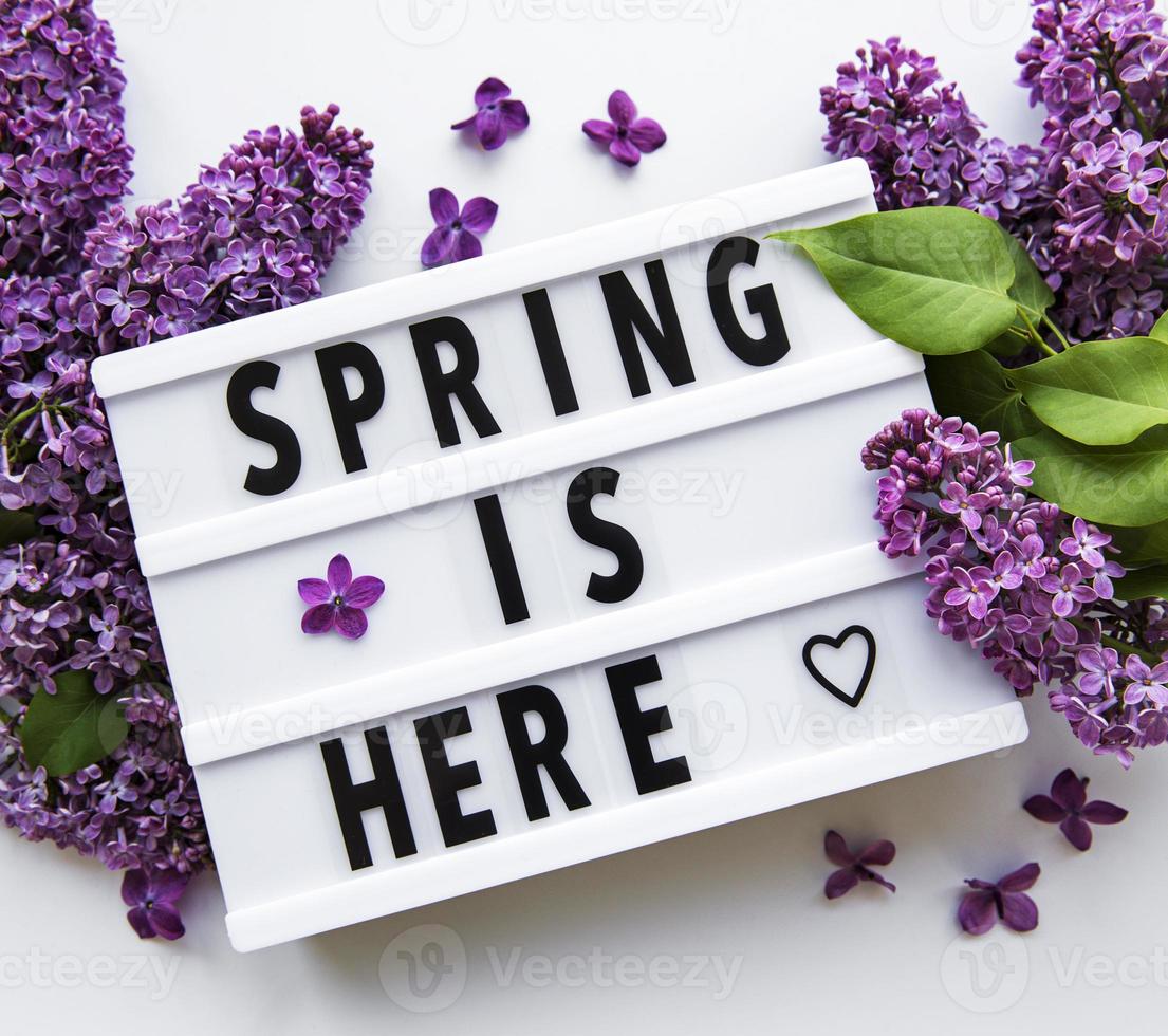 Lightbox with text SPRING IS HERE and lilac flowers photo