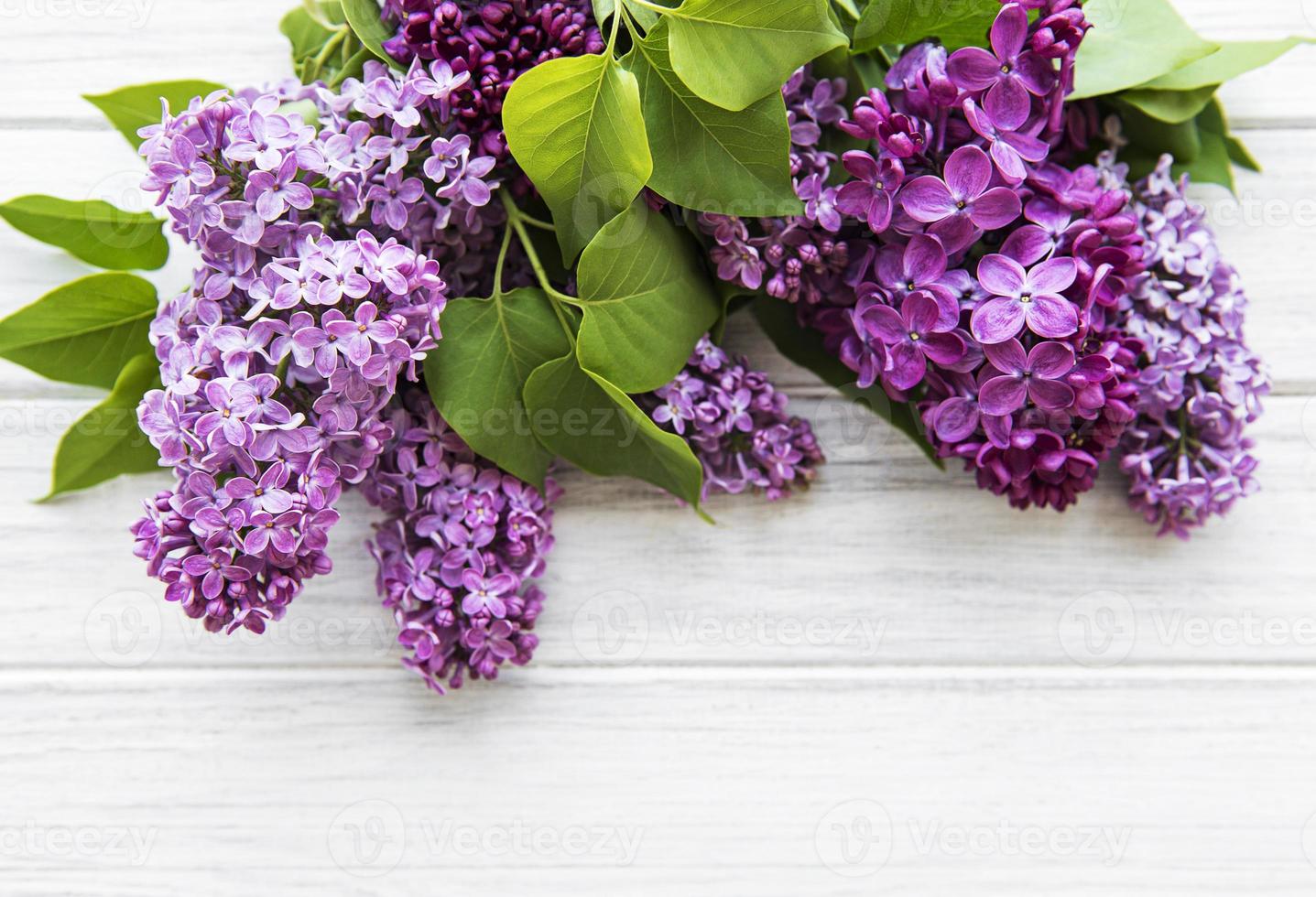 Lilac in flat style on white wooden background. Beautiful spring. Overhead view. Flat lay, top. Summer season. Natural spring style. photo