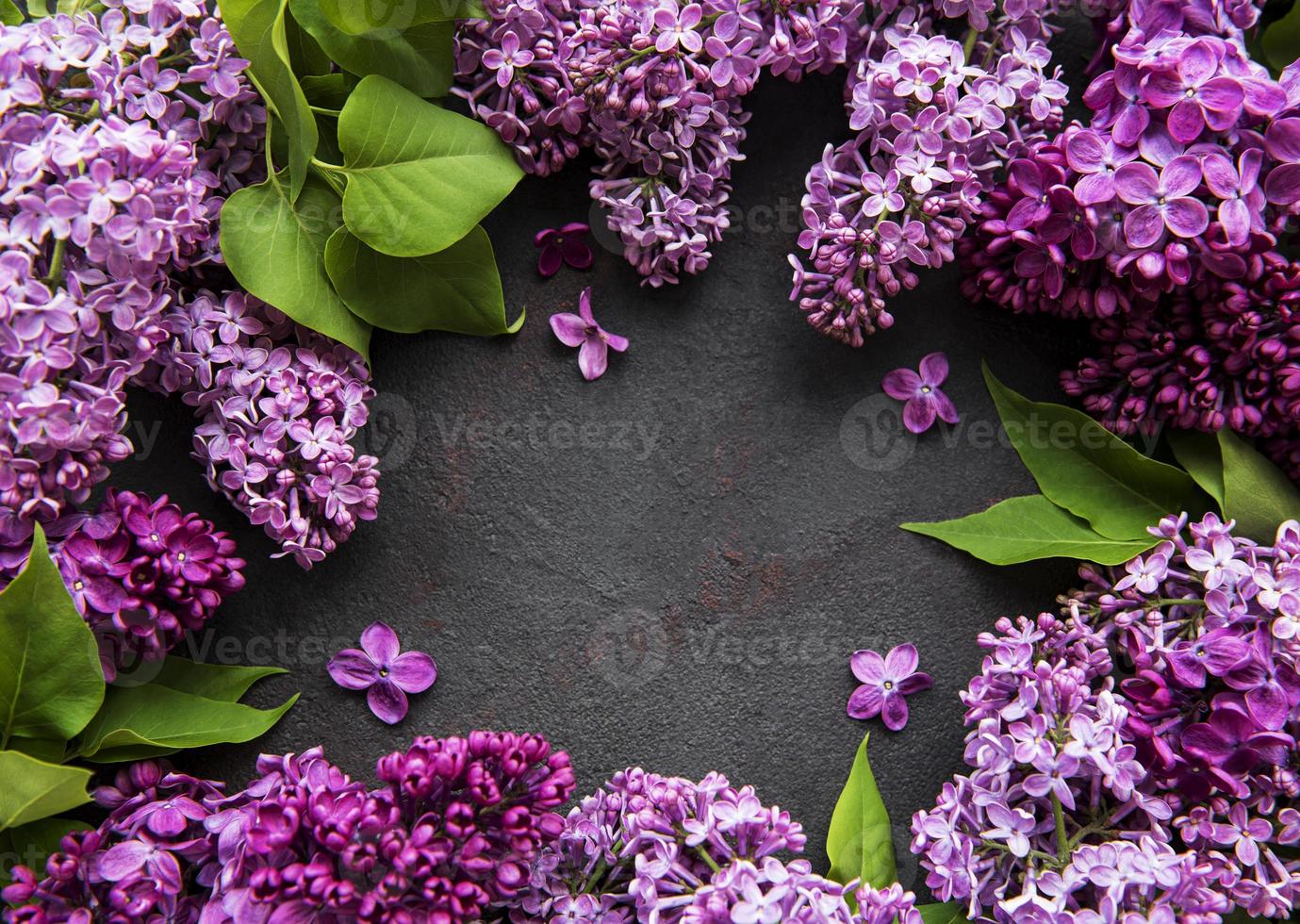 Beautiful spring flowers lilac on dark stone background with place for text. Syringa vulgaris. Happy Mother's Day greetings card. Top view. Copy space. photo