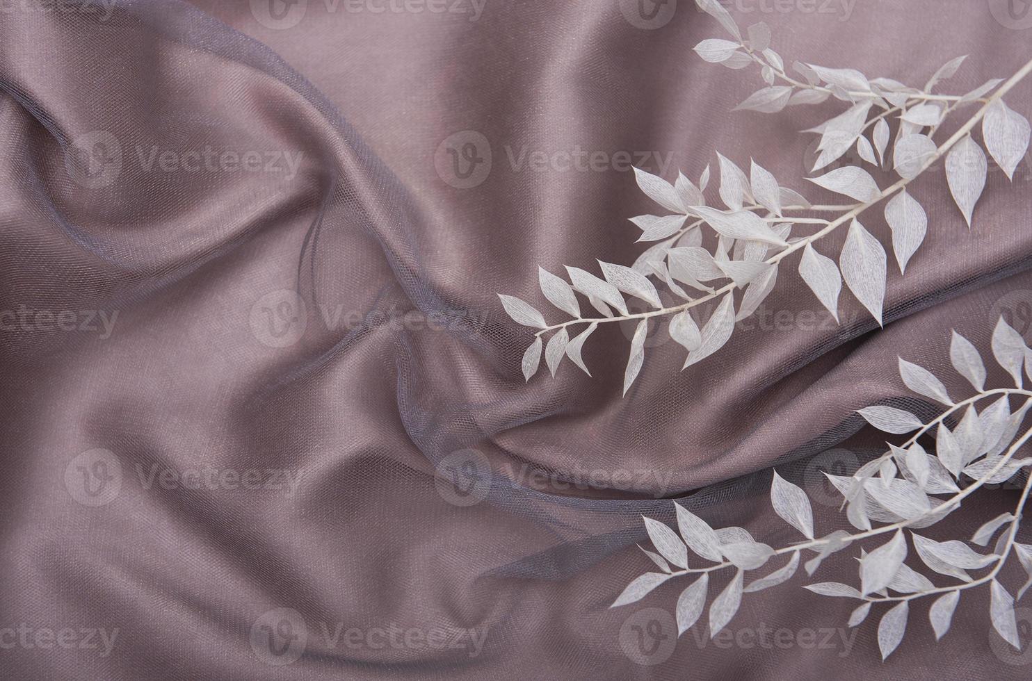 Frame of white branches on a silk background photo