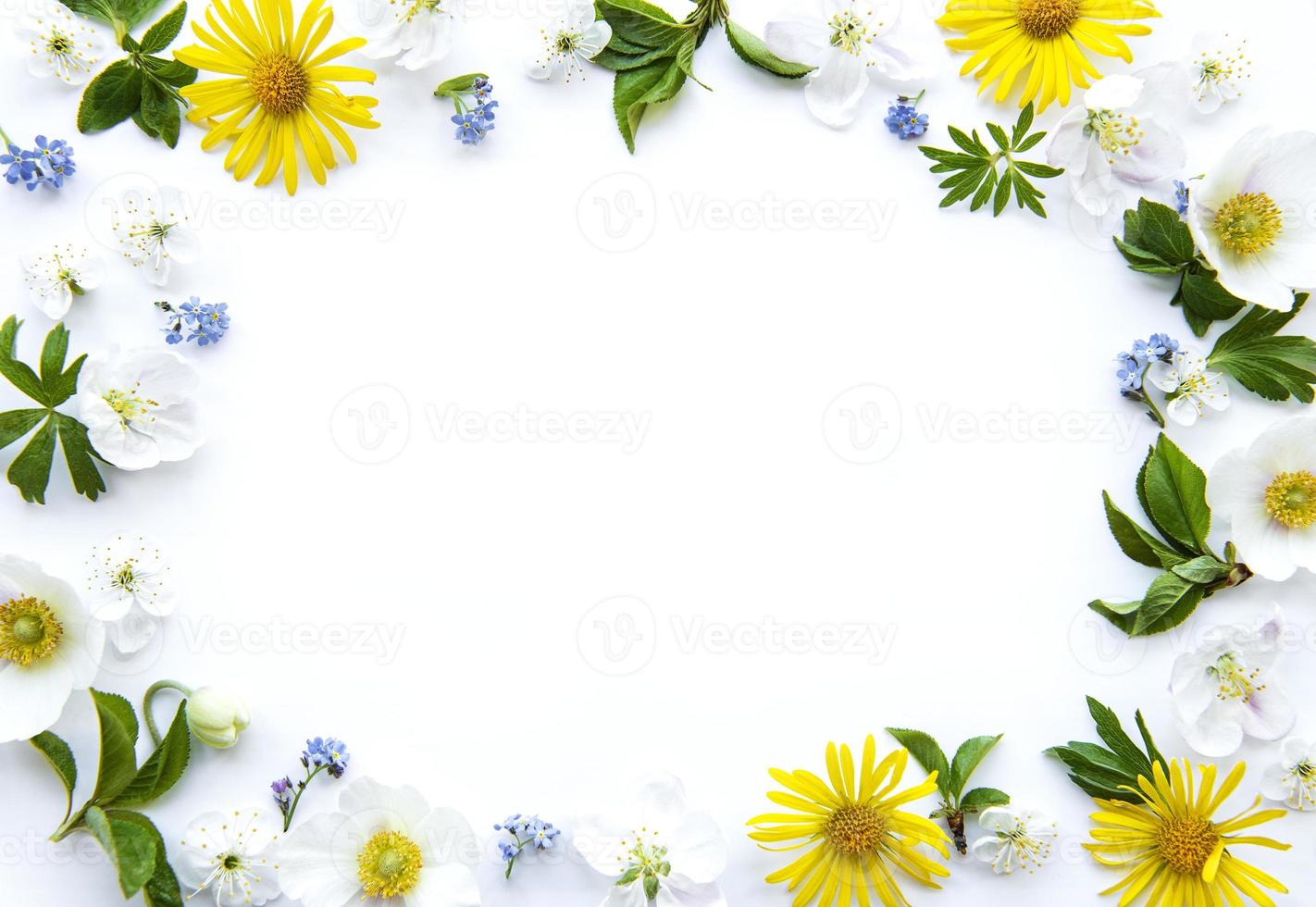 Flat lay frame with spring flowers, leaves and petals photo