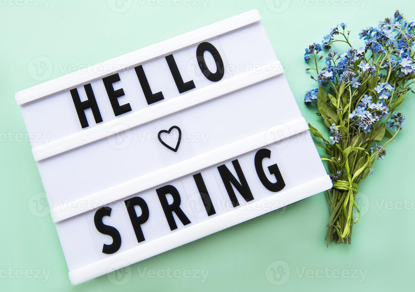 Lightbox with text HELLO SPRING and forget me not flowers photo