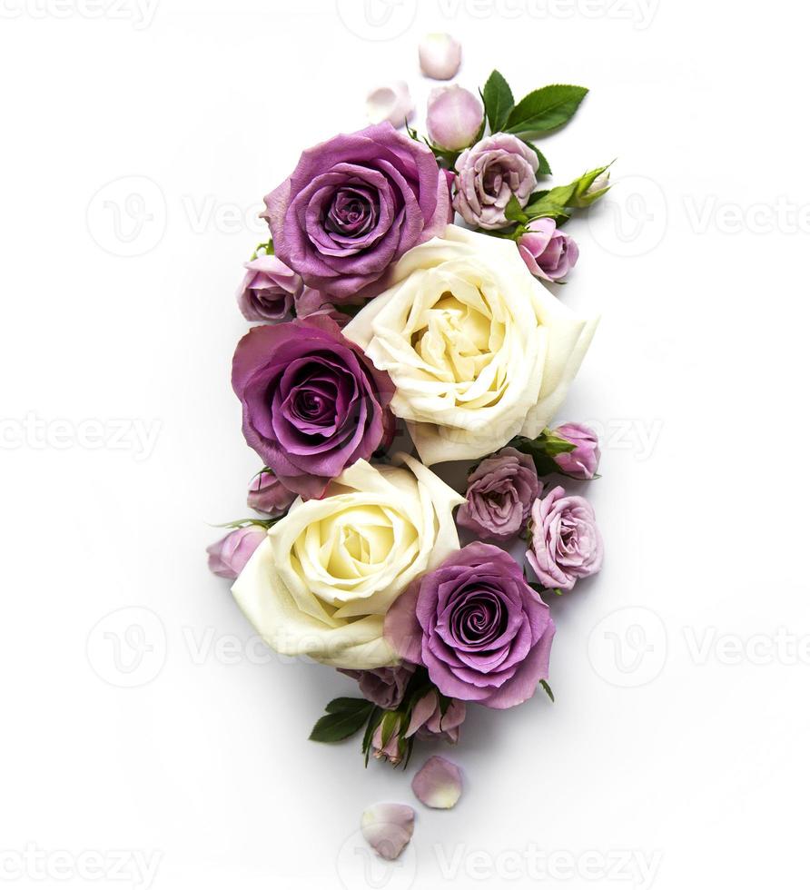 Framework from roses on white background. photo