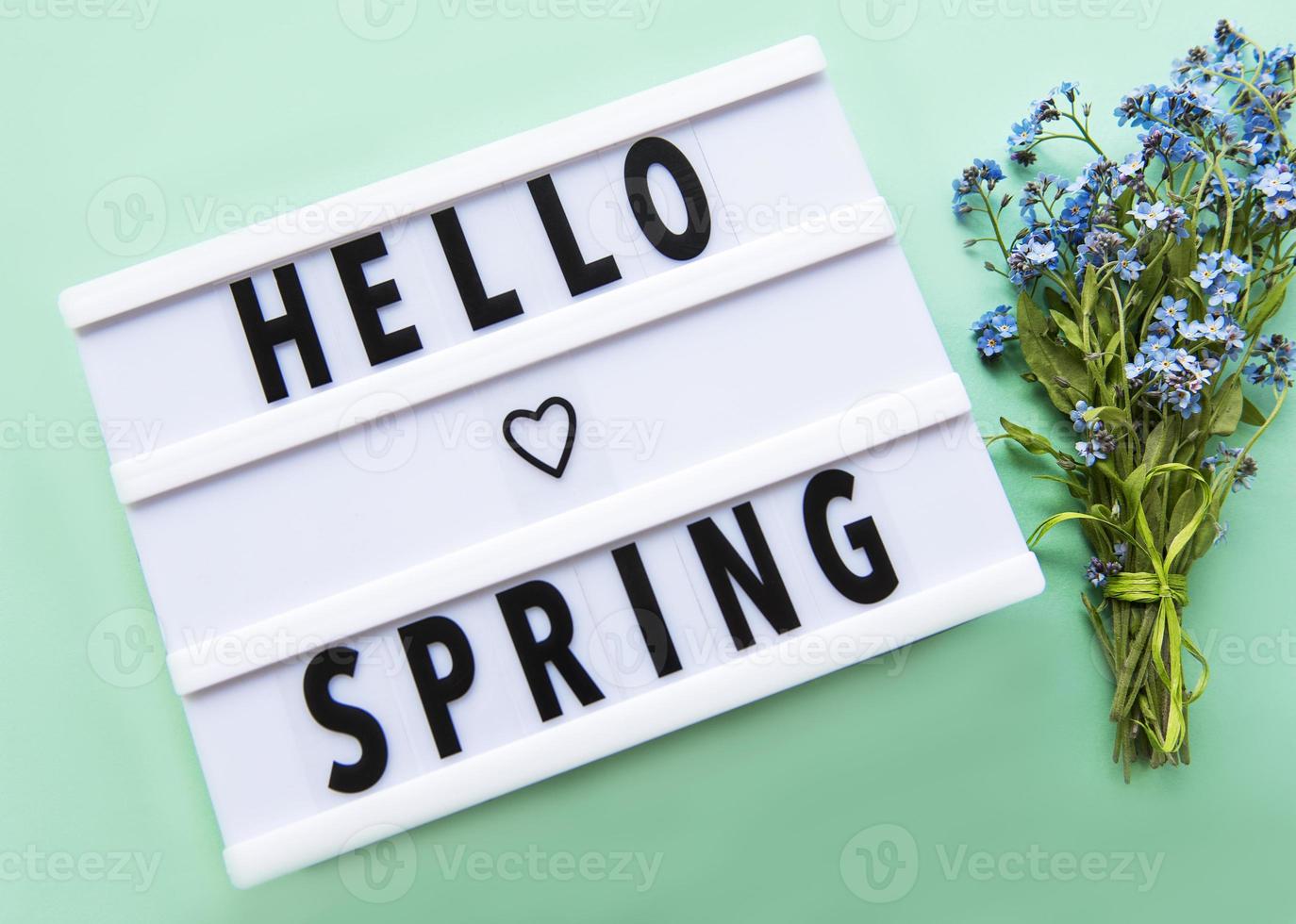 Lightbox with text HELLO SPRING and forget me not flowers photo