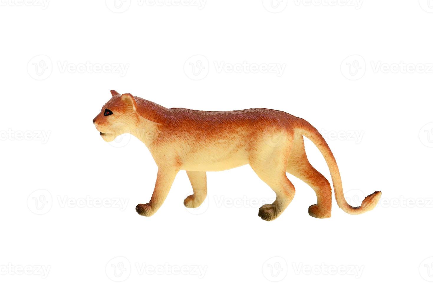 toy lioness isolated photo