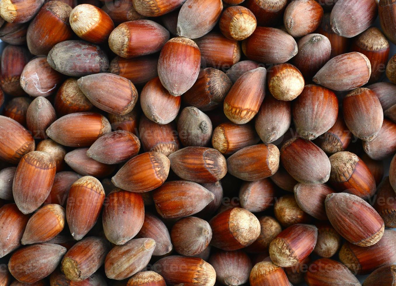 ripe hazelnuts texture photo