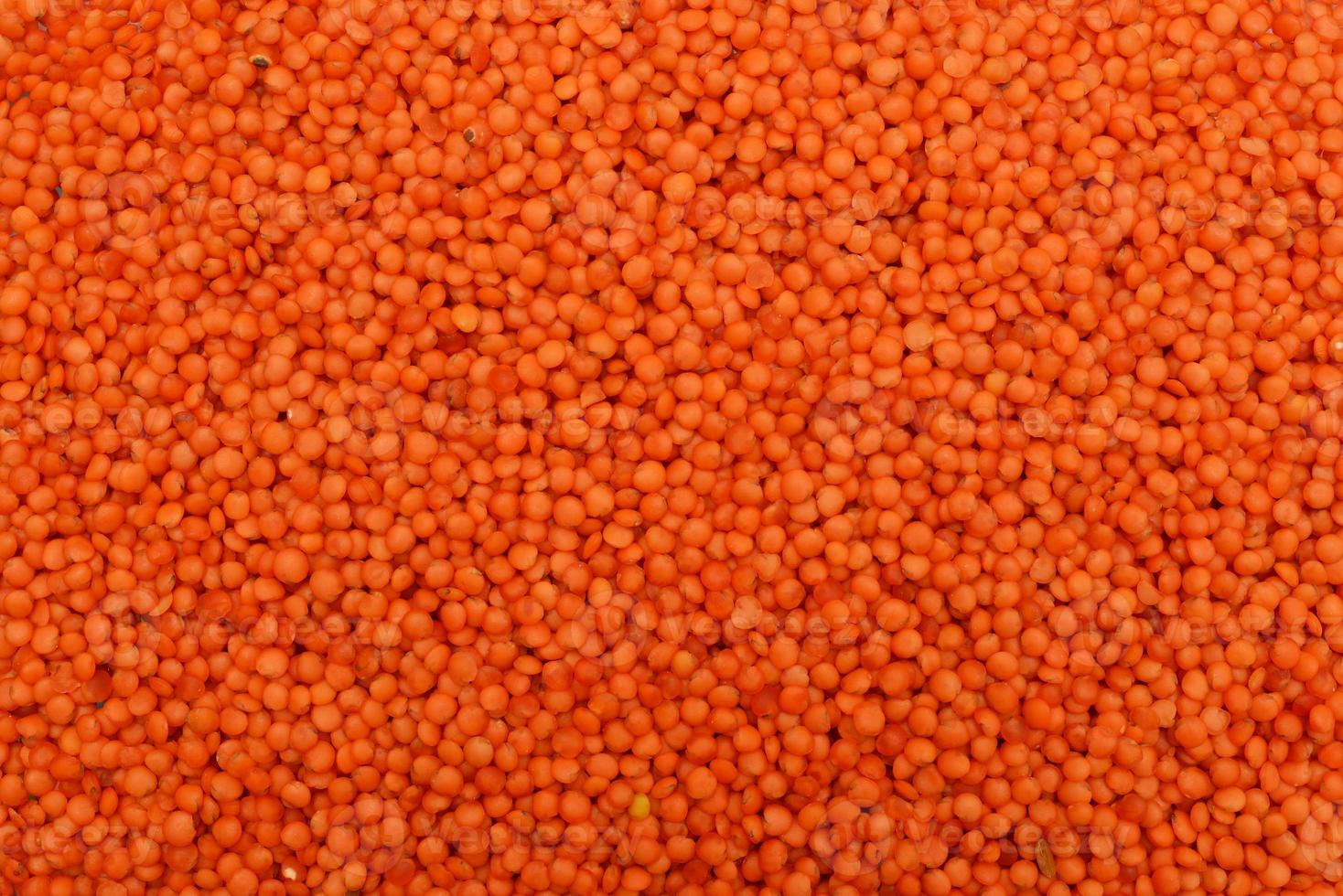 red lentil seeds texture photo