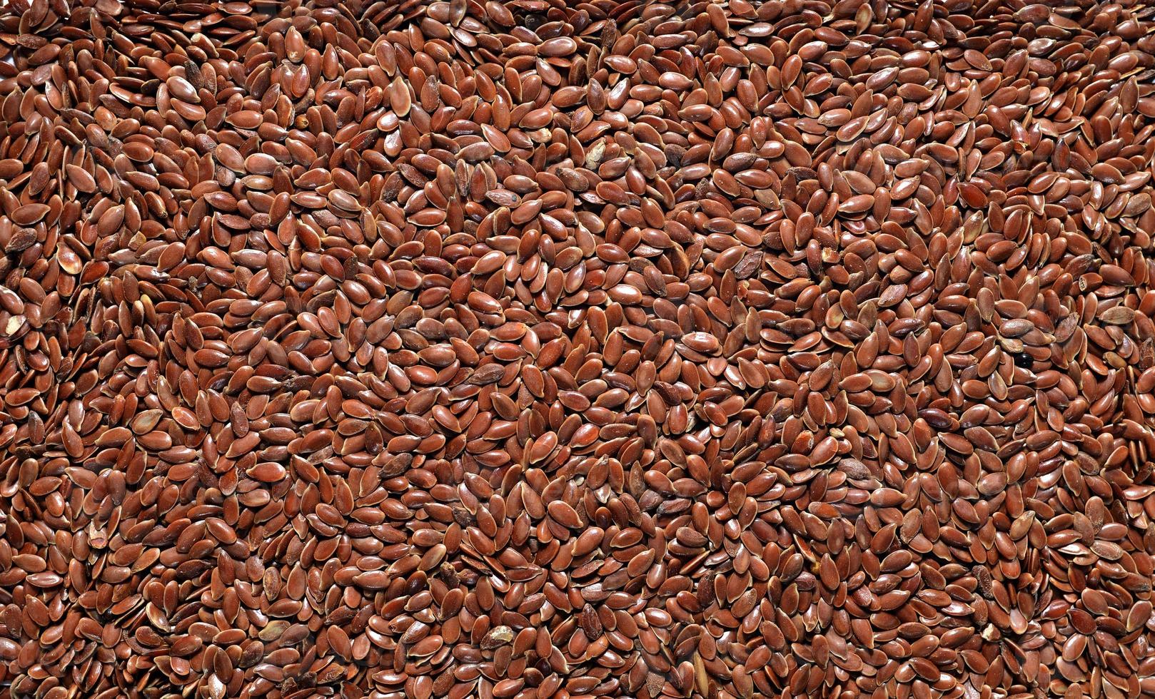 Flax seed texture photo