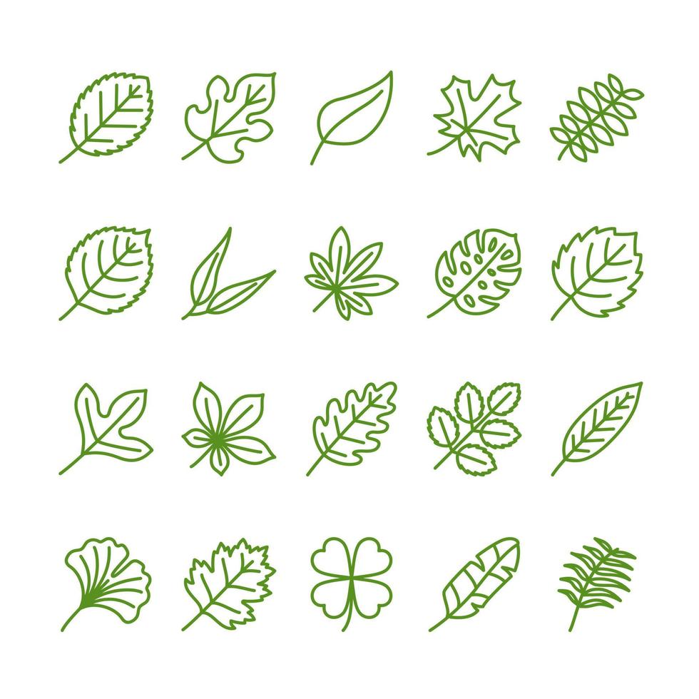 Leaves outline icon set vector