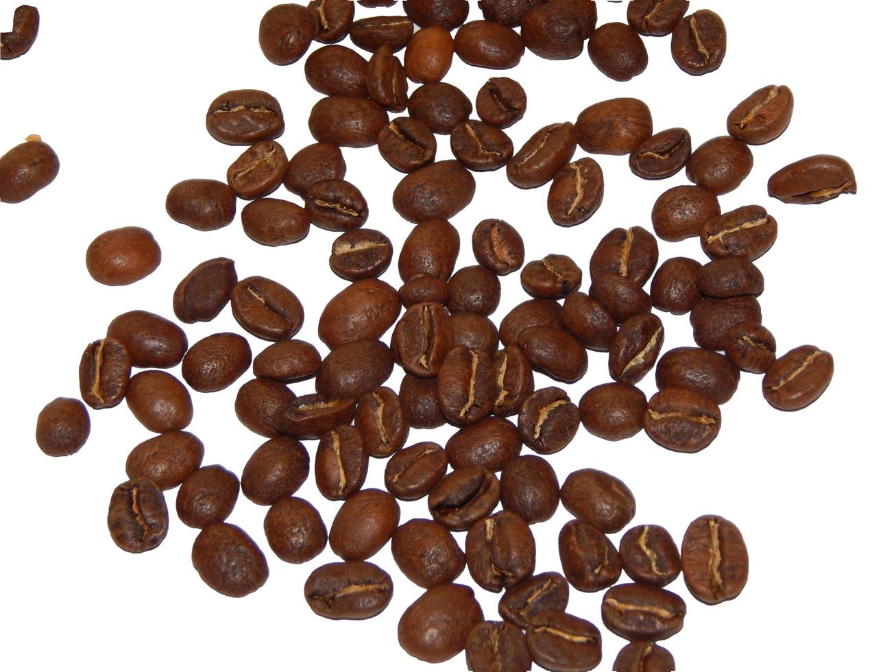 Sprinkled coffee beans the agriculture arabica photo