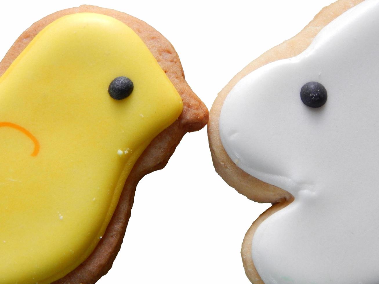 Kissing birds the festive cookies photo