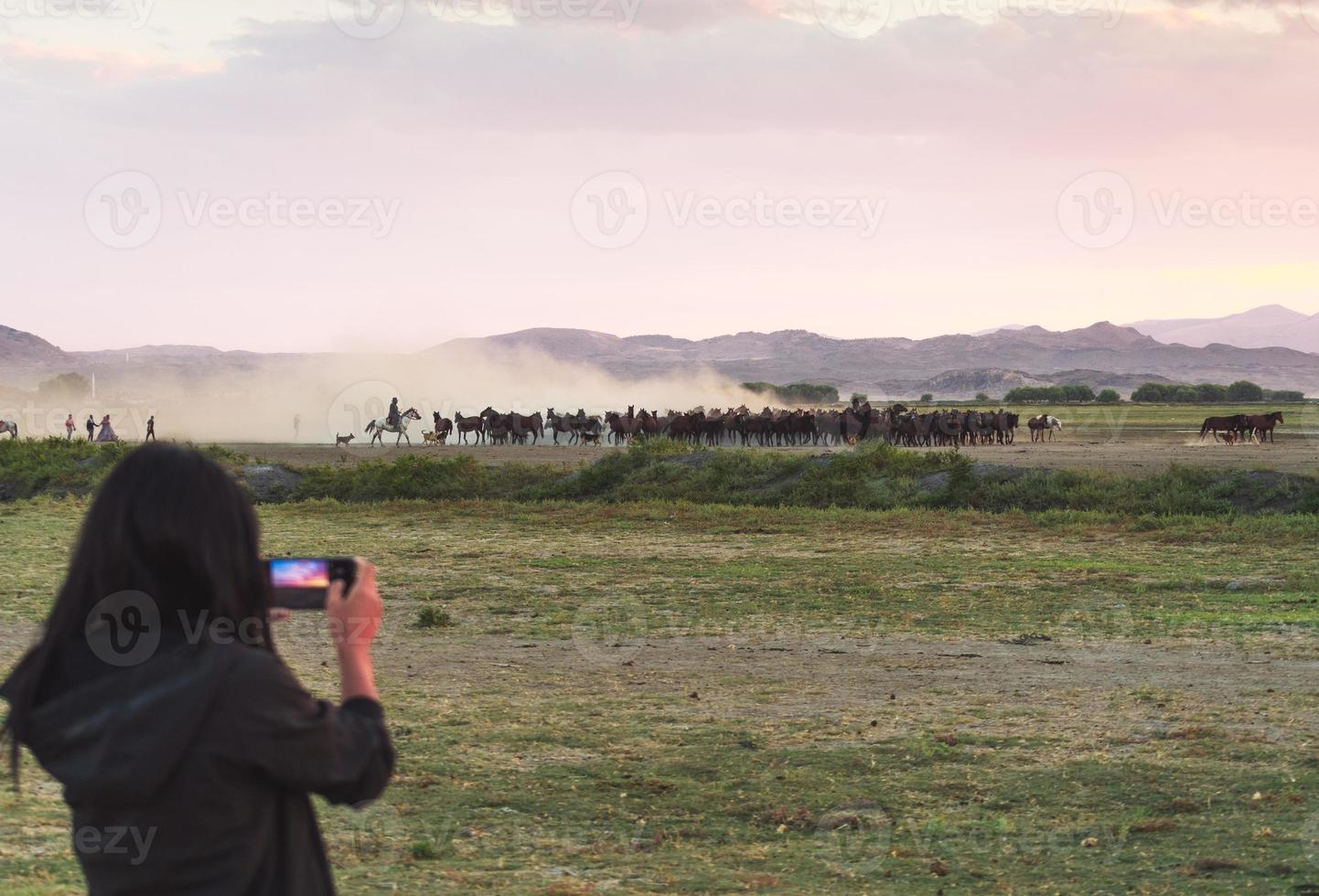 Female tourist take photograph of herd of wild horse in Hormetci village photo