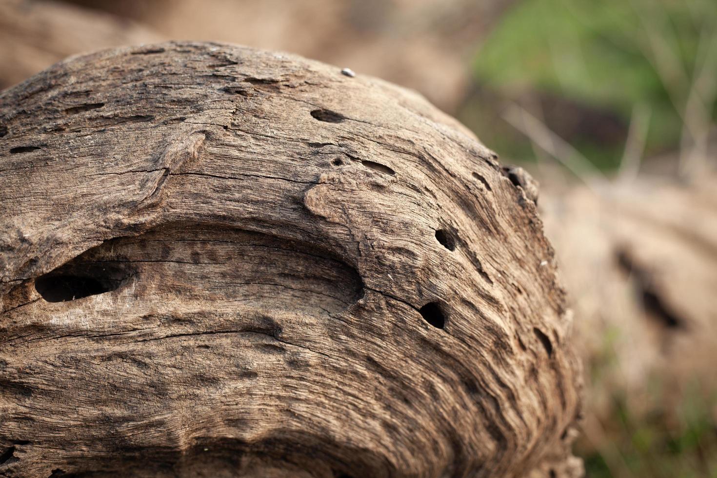 fondo de grano de madera vieja foto