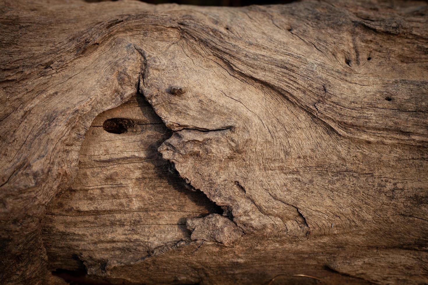 old wood grain background photo