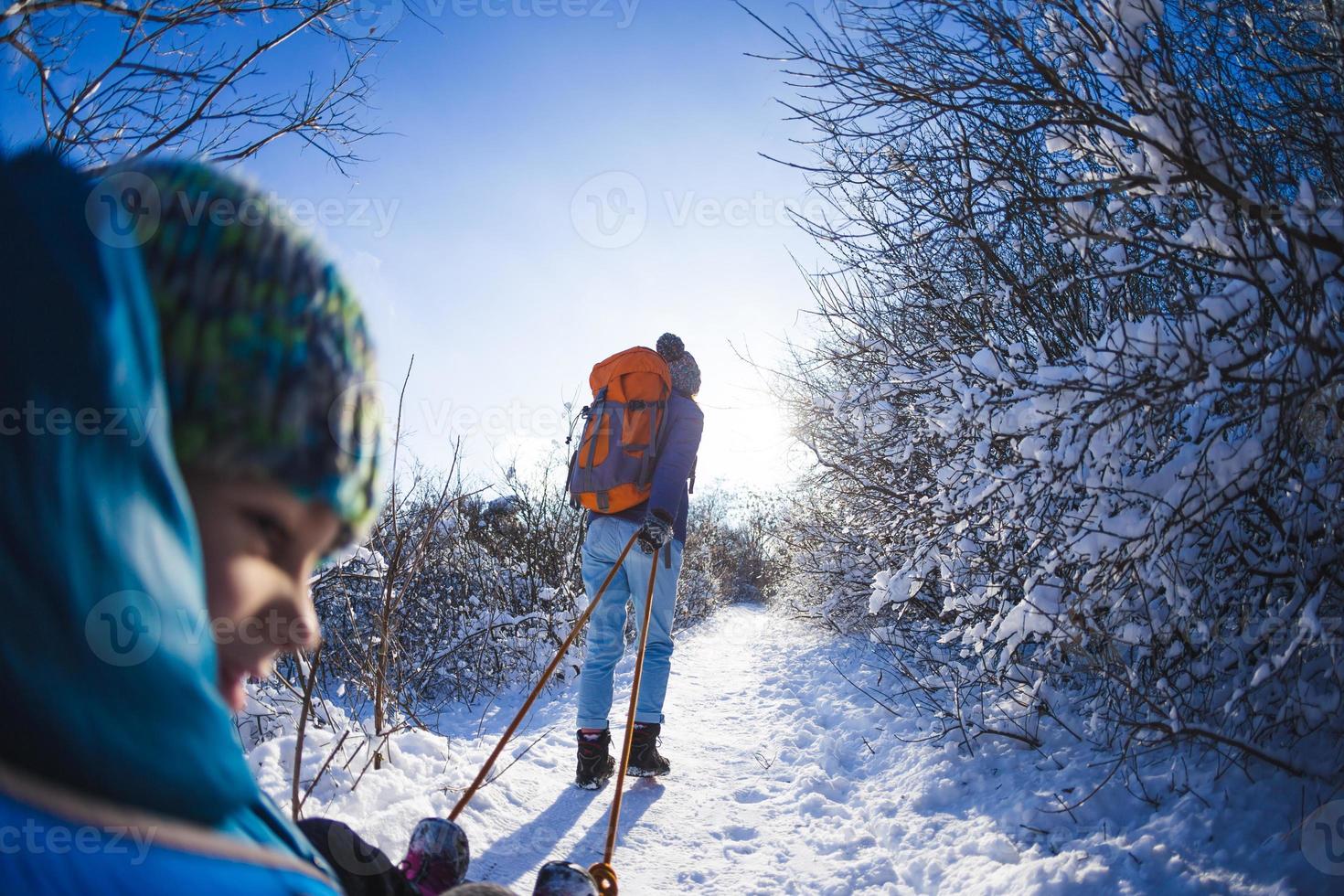 A woman pulls a sled with a child. photo