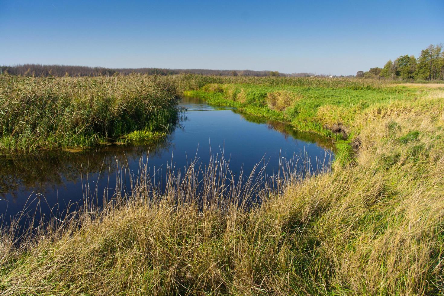 paisaje de río de verano foto