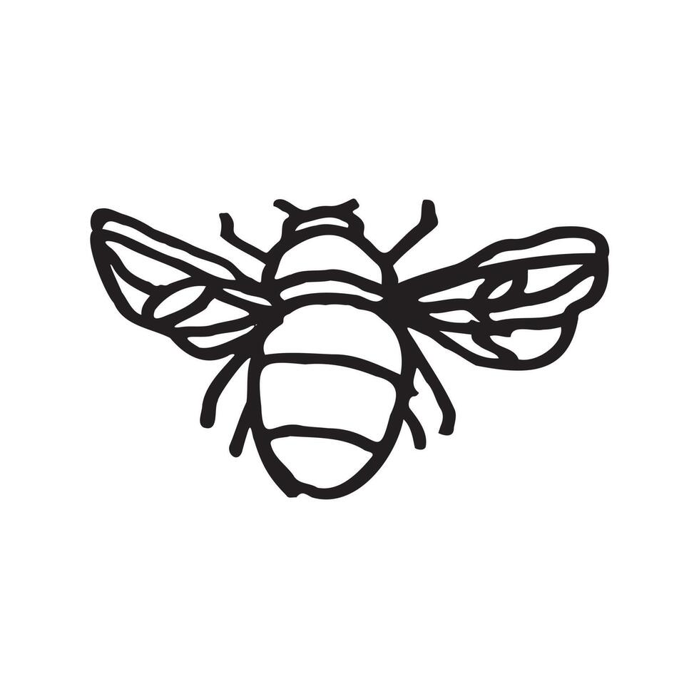 Bee hand drawn illustration in childlike style vector