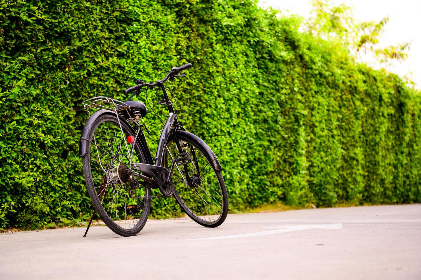 A bicycle with a green tree wall in the background. photo