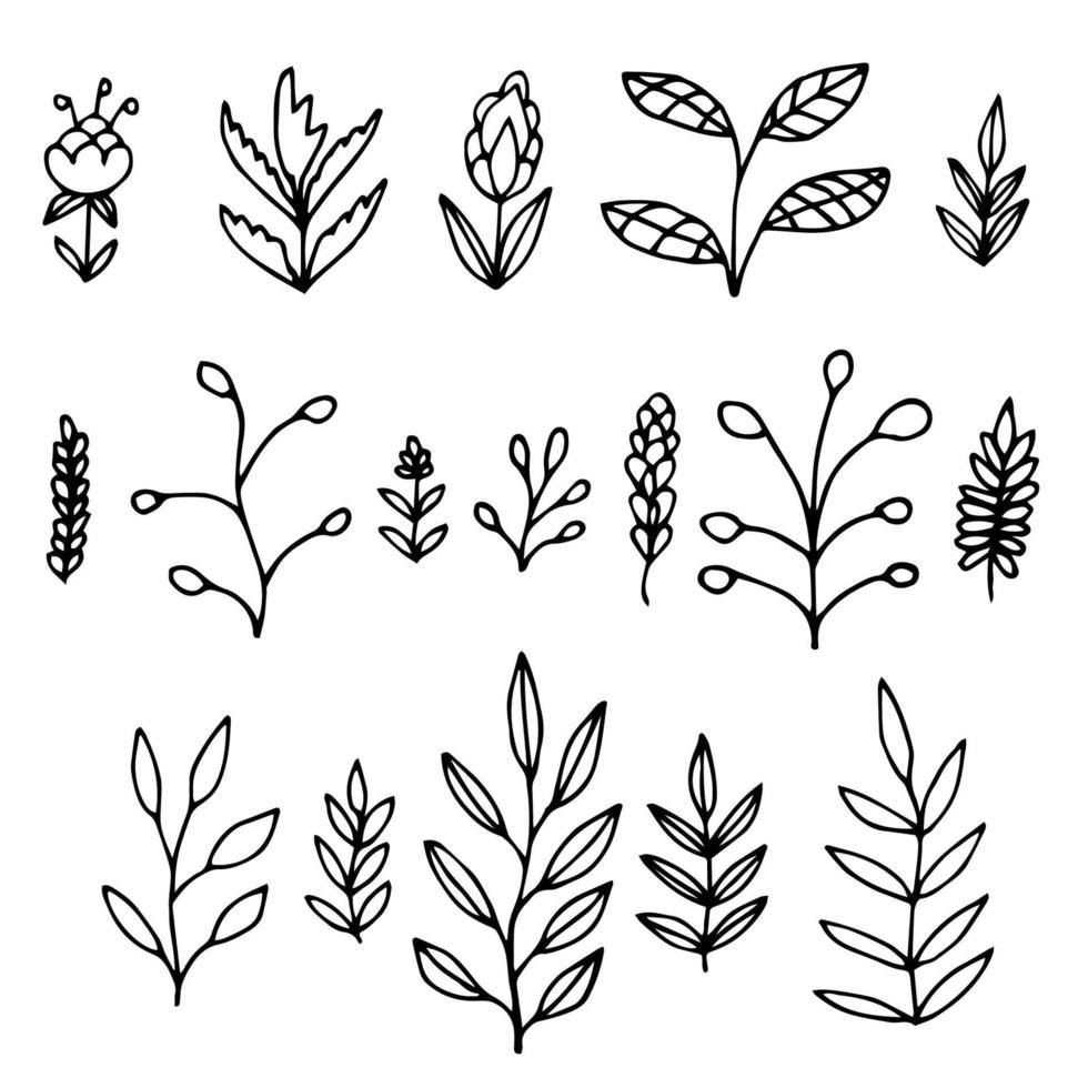 Set of hand drawn doodle flowers, tree branches, cereals. vector