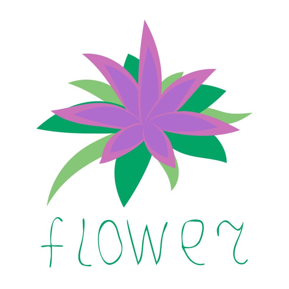 Tropical flower, plumeria,  isolated on white background. Hand drawn word flower. Logo, icon. vector