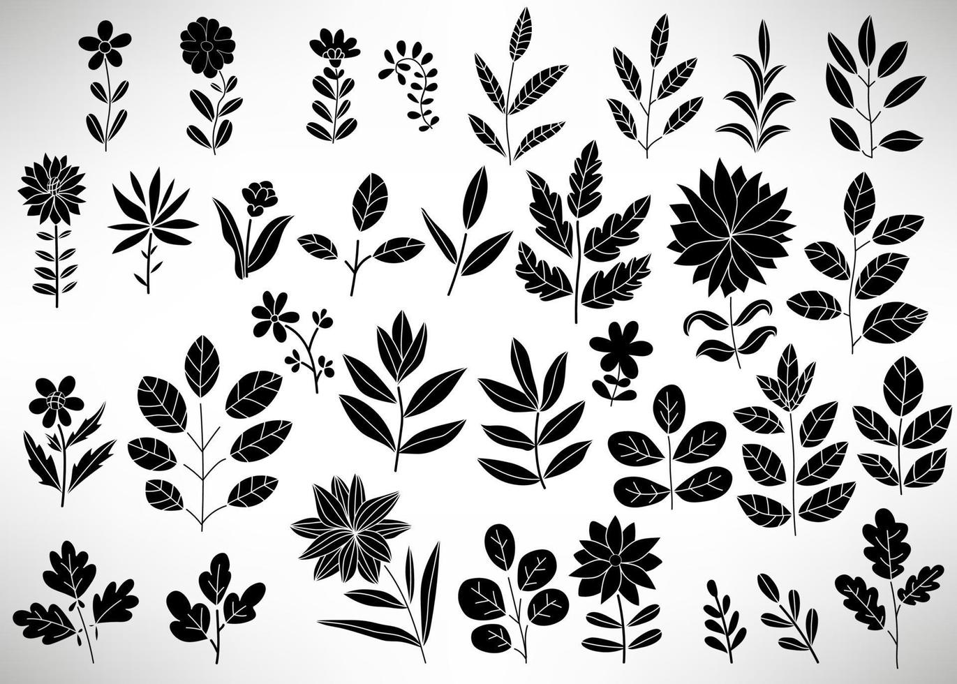Floral Set of black hand drawn floral elements, tree branch, bush, plant, leaves, flowers, branches, petals isolated on white. Collection of flourish elements for design. vector