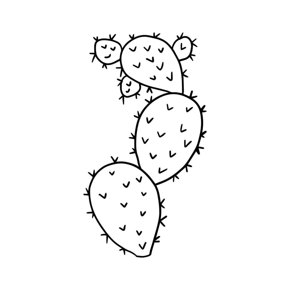 Cartoon doodle cactus isolated on white background. Cute floral desert element in childlike style. vector