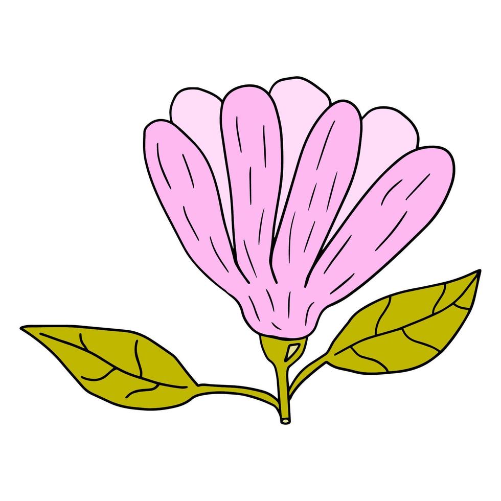 flor de doodle de dibujos animados con hojas aisladas sobre fondo blanco. vector