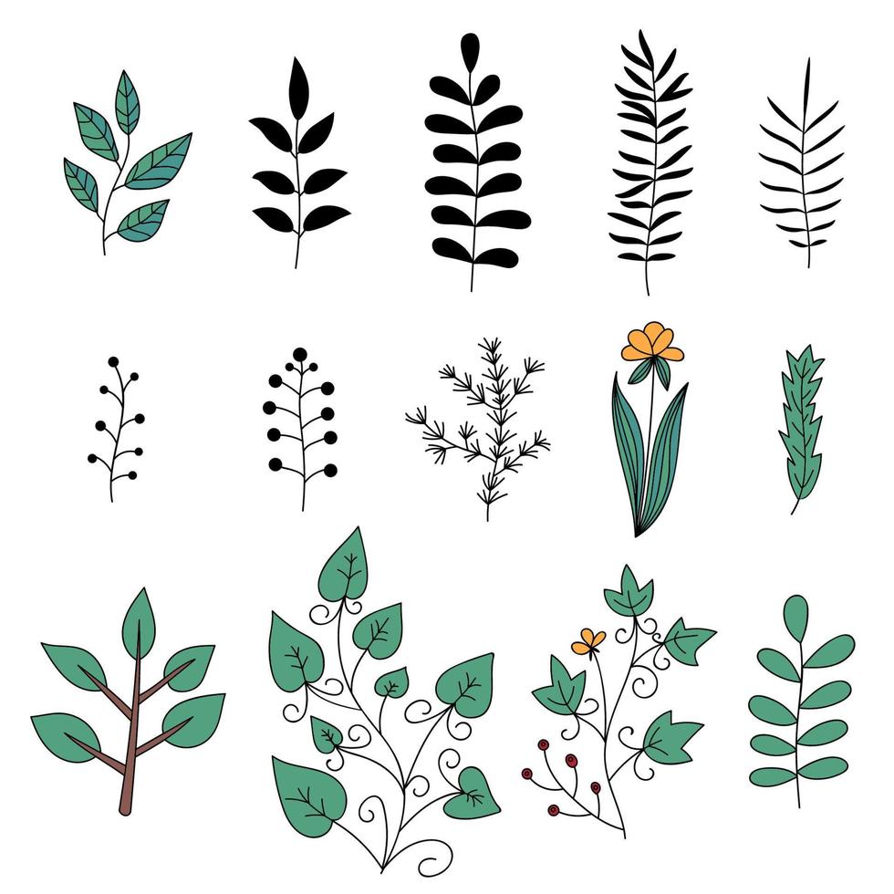 Floral elements set. Tree branches. Set of hand drawn doodle flowers. vector