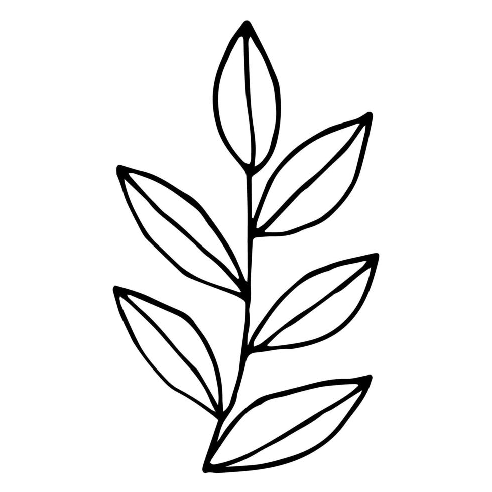 Hand drawn doodle bush isolated on white background for coloring book. vector