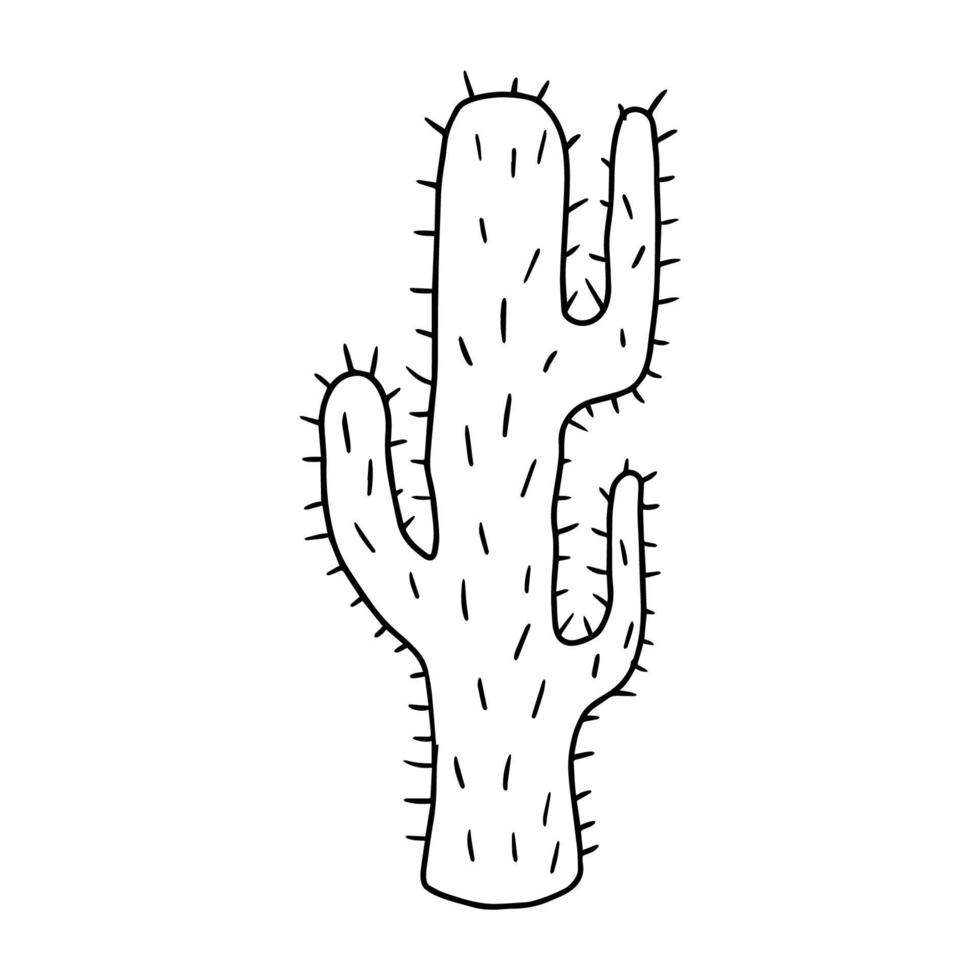 Cartoon doodle cactus isolated on white background. Cute cartoon floral element. vector