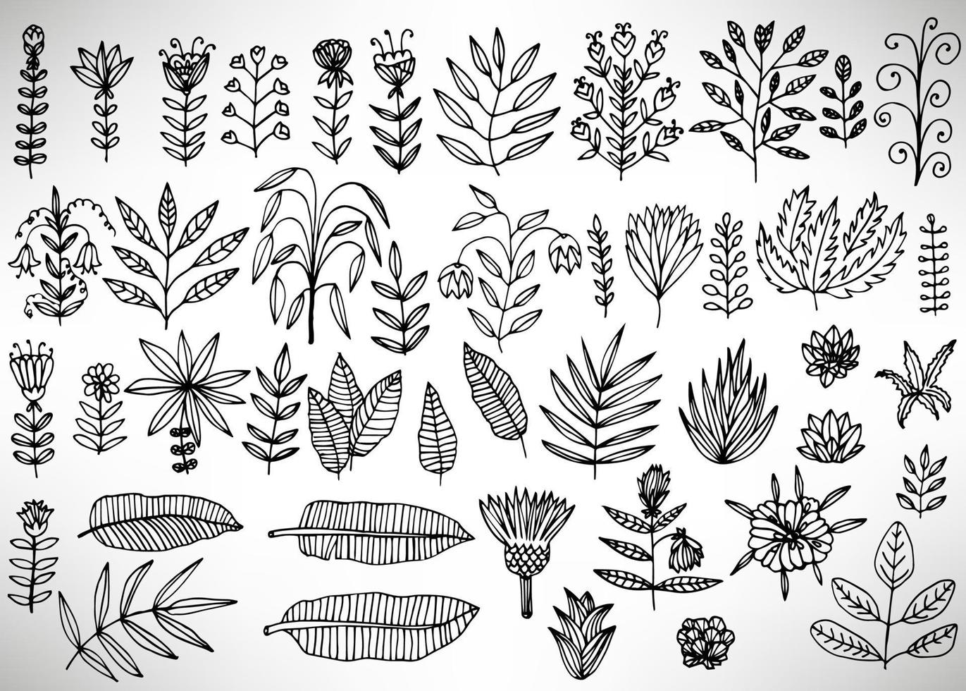 Big Floral Set of black hand drawn flowers, bushes, leaves, branches isolated on white. Collection of flourish elements for design. vector