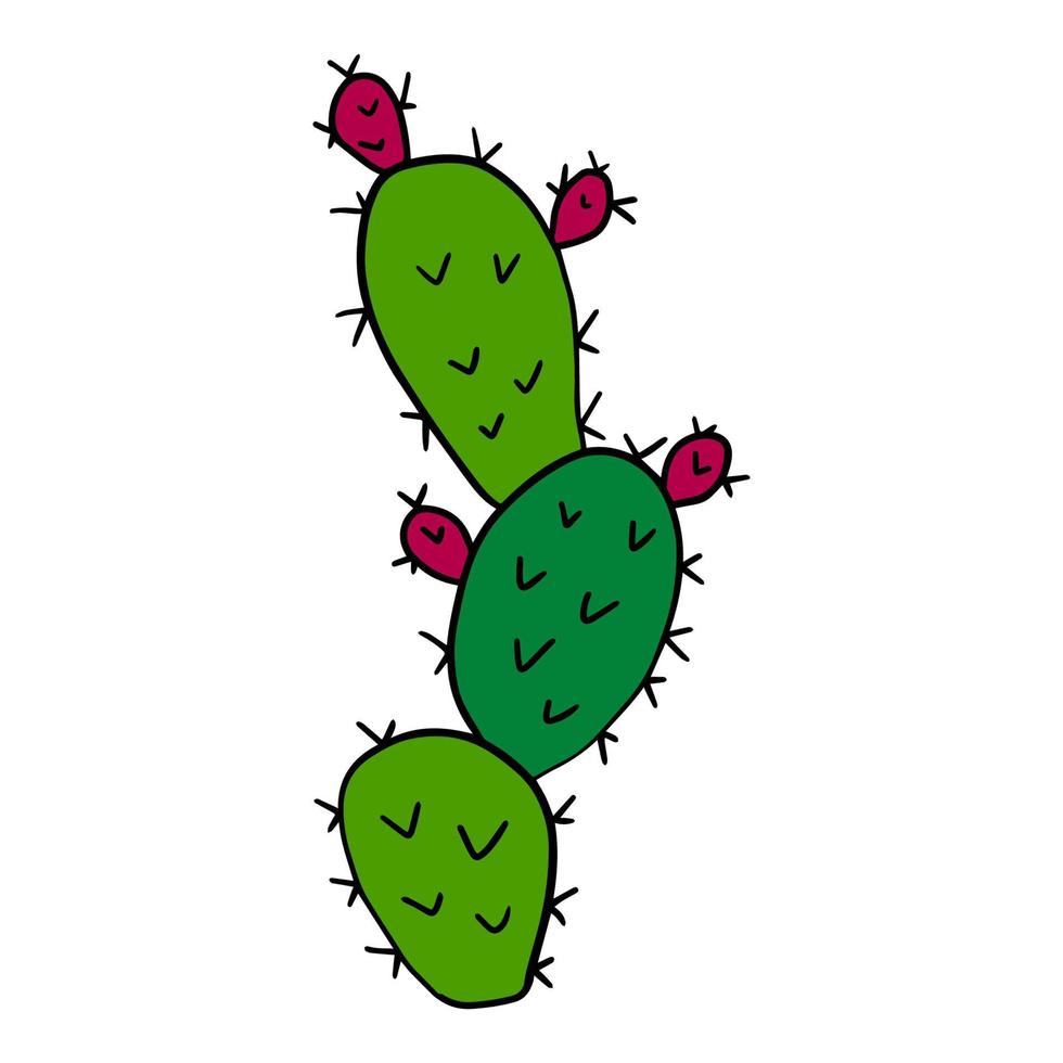 Cartoon doodle cactus isolated on white background. Cute cartoon floral element. vector