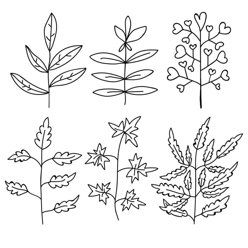 Floral elements set. Tree branches. Set of hand drawn doodle flowers. vector