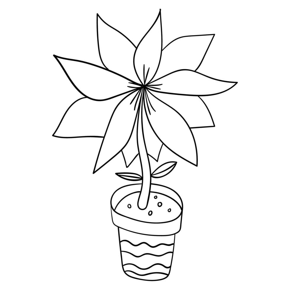 Cartoon doodle flower with leaves in pot isolated on white background. vector