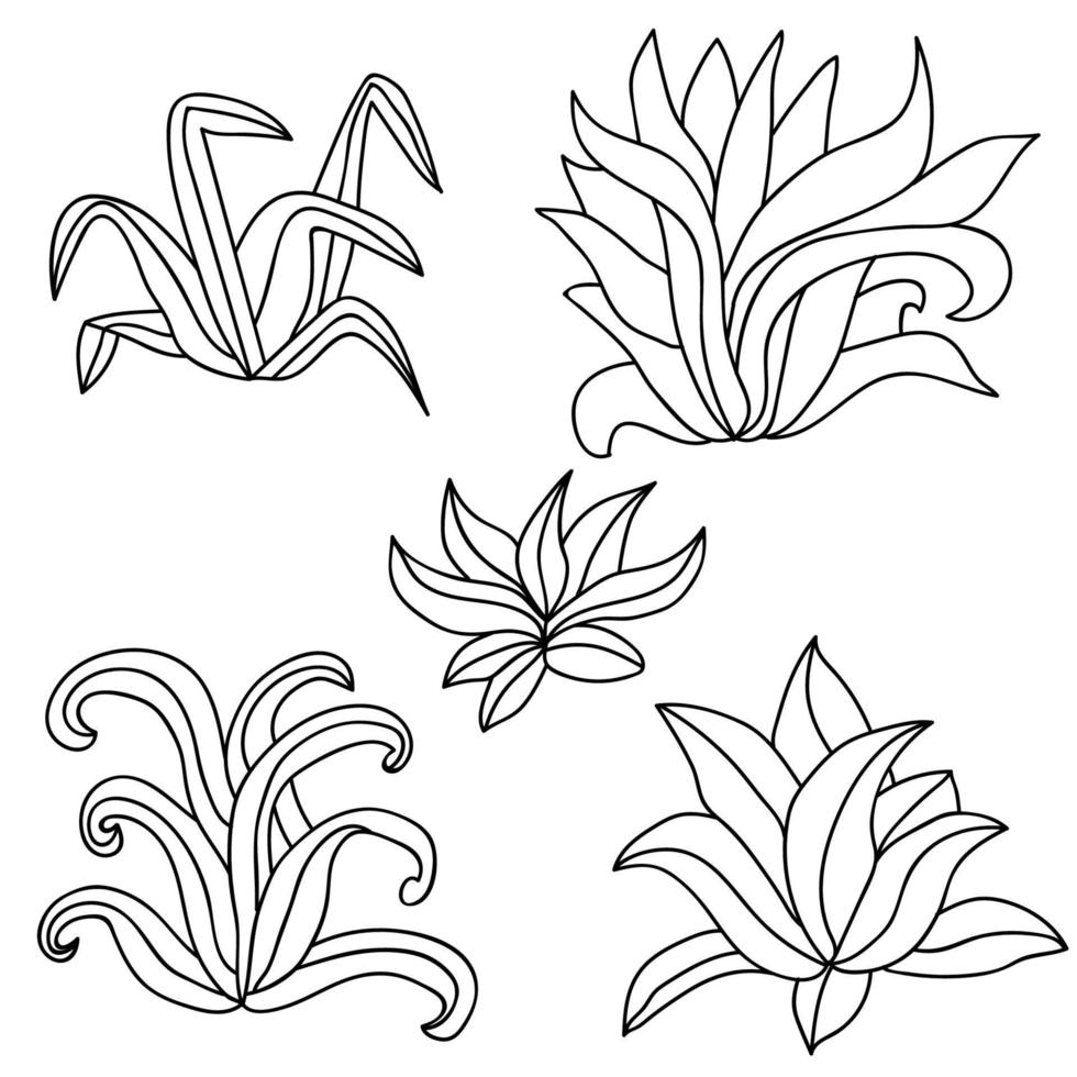 Conjunto de arbustos dibujados a mano aislado sobre fondo blanco para colorear libro. vector
